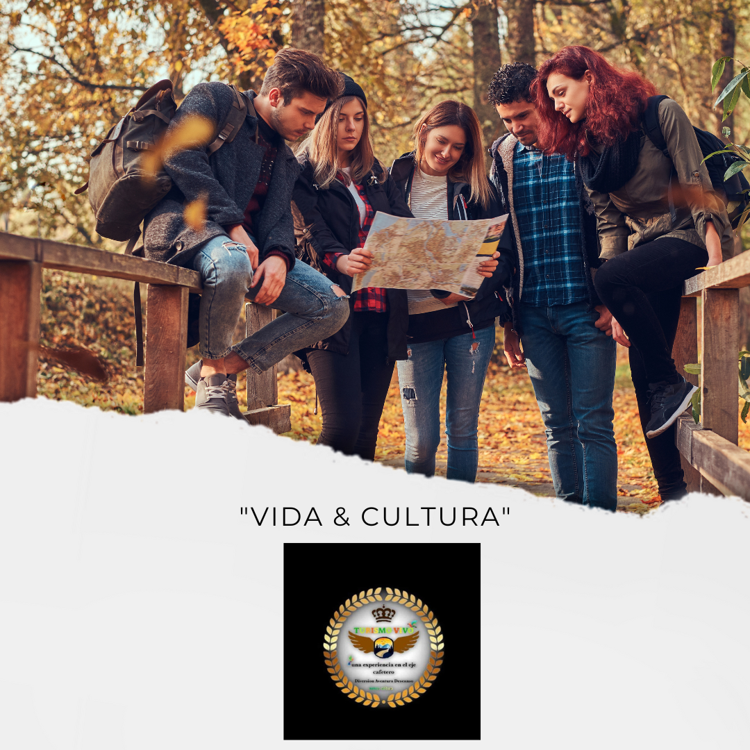 Turismo Vivo
