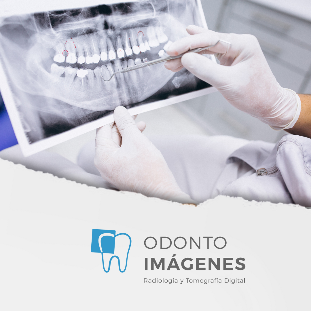 Morados s.a.s Odontoimágenes