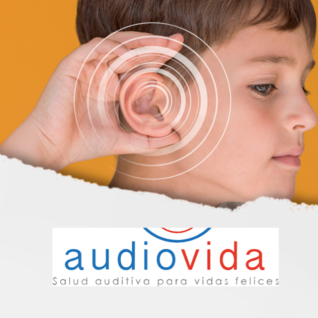 Audiovida